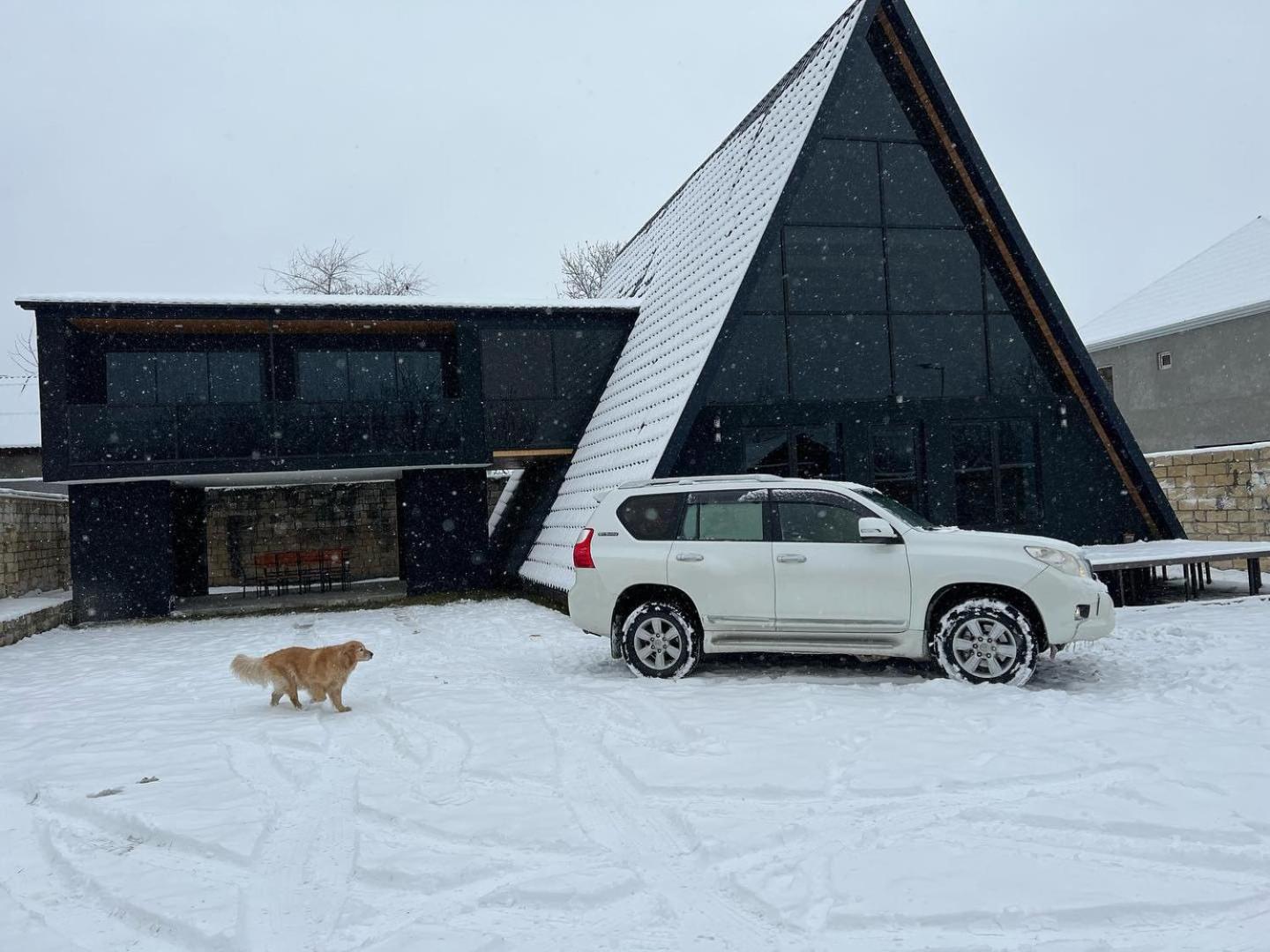 Qafqaz Wood Chalet Kebele Dış mekan fotoğraf